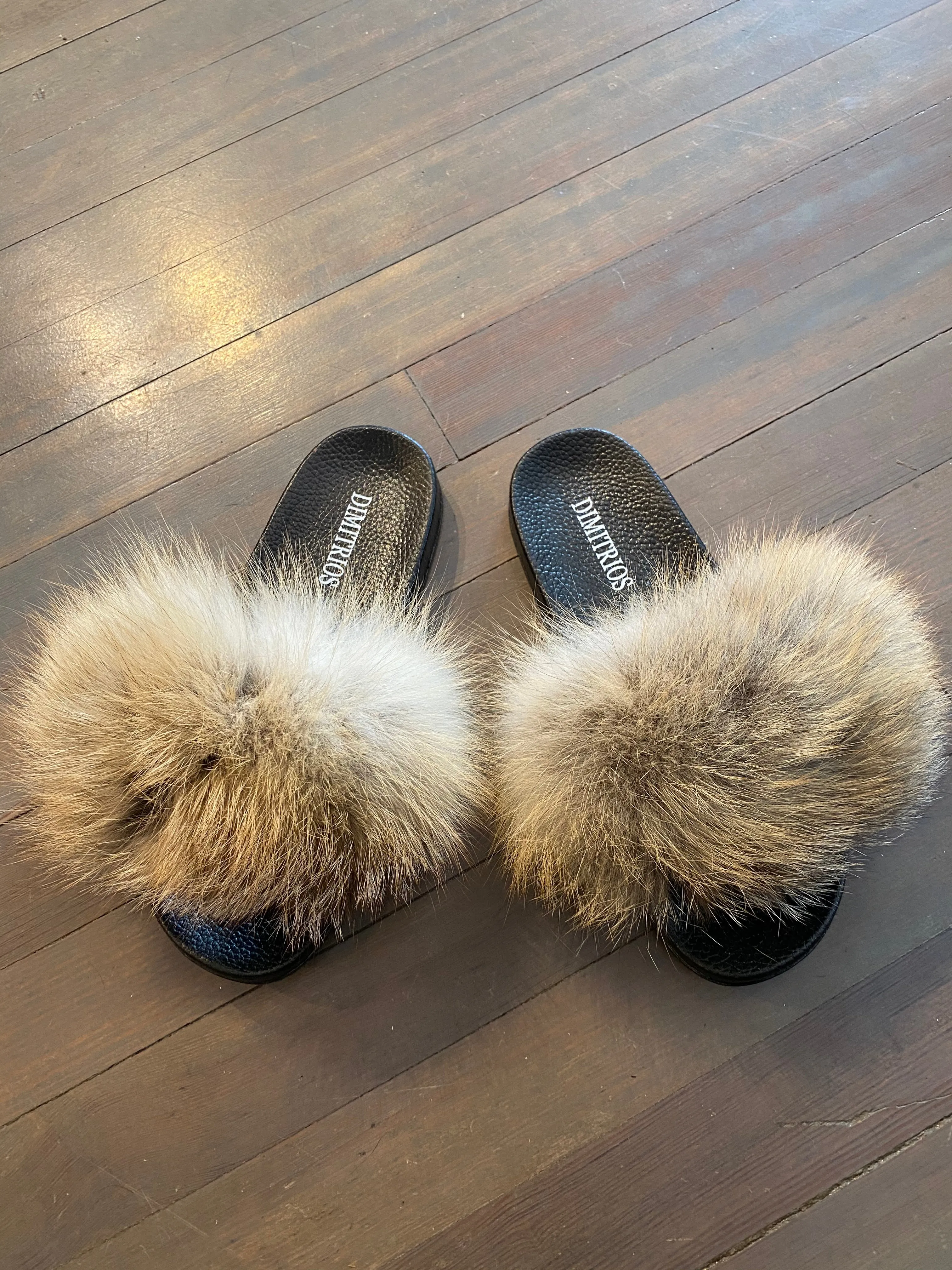Brown Fox Slides