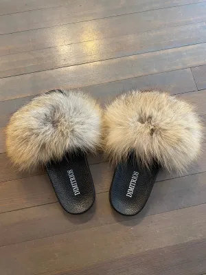 Brown Fox Slides