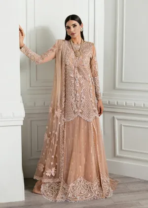 Crimson X Saira Shakira Wedding Collection '24 | CW24-D5