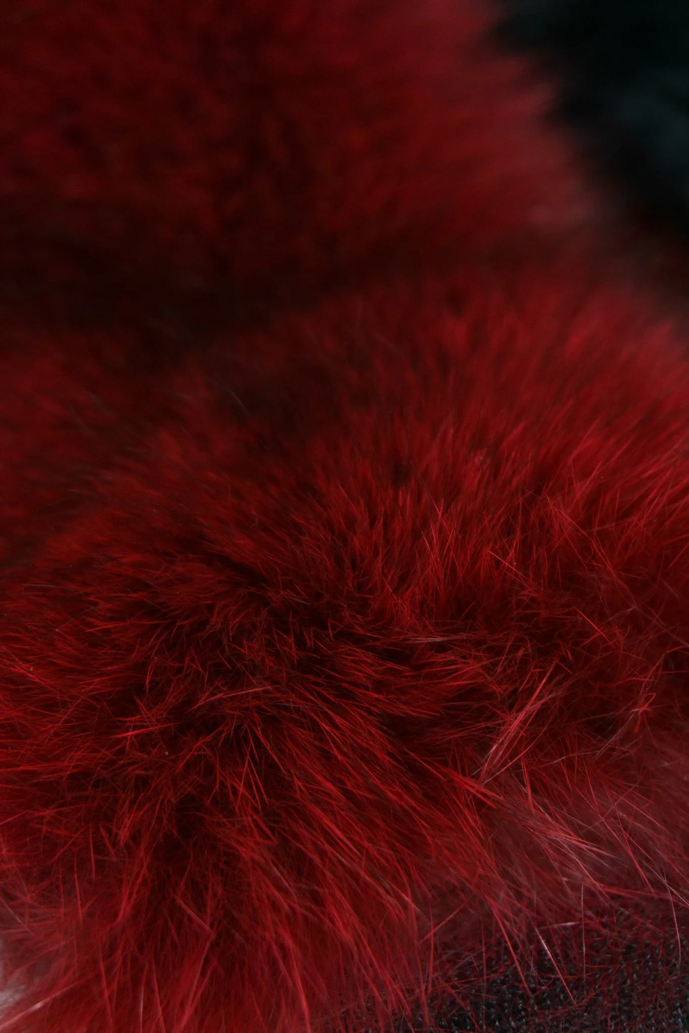 Fur Collar