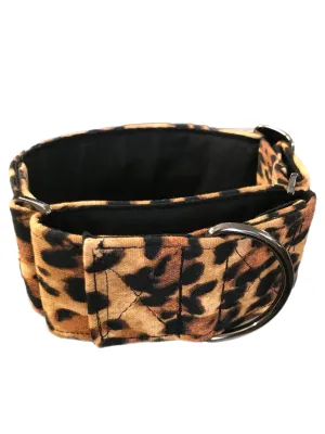 Leopard print Greyhound Martingale collar cotton covered 50mm width sturdy cotton