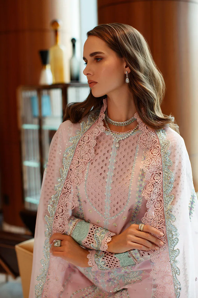 MUSHQ | ASTORIA | FESTIVE LAWN ’23 | EVELYN