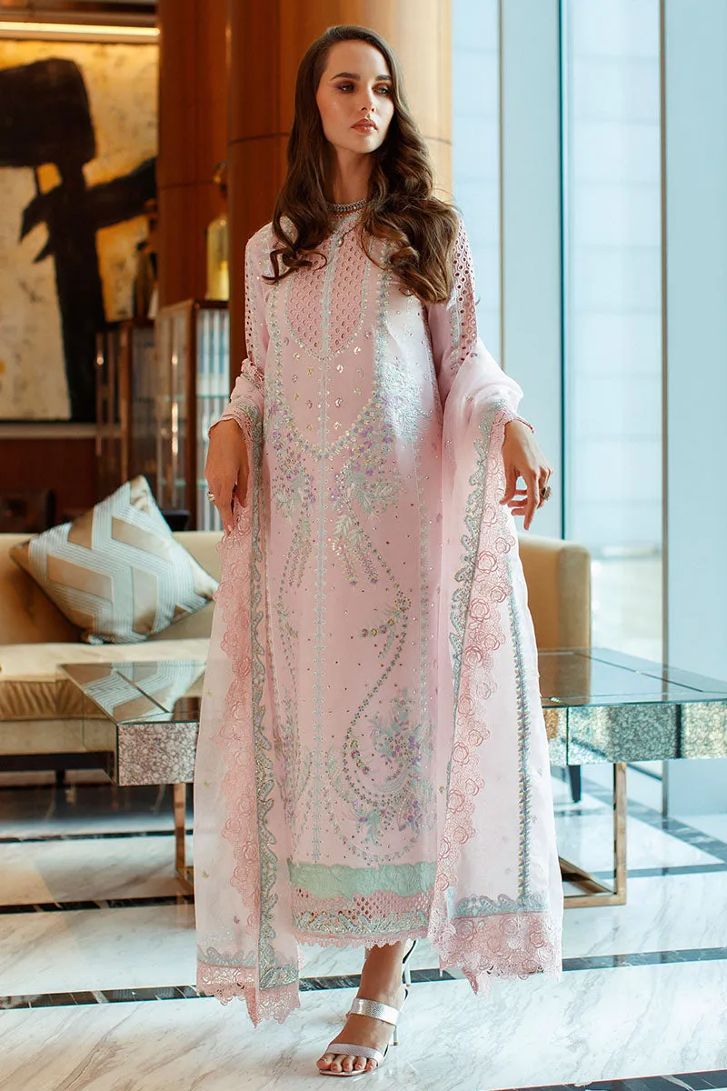 MUSHQ | ASTORIA | FESTIVE LAWN ’23 | EVELYN