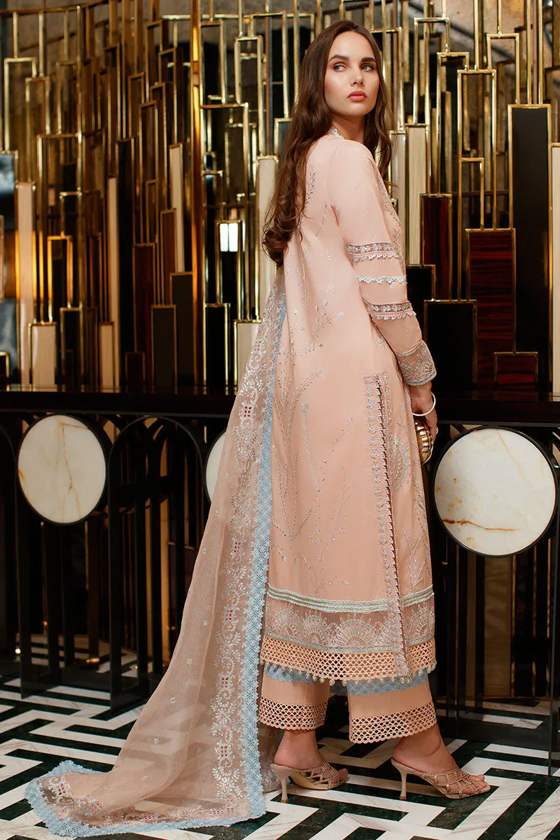 MUSHQ | ASTORIA | FESTIVE LAWN ’23 | Noor