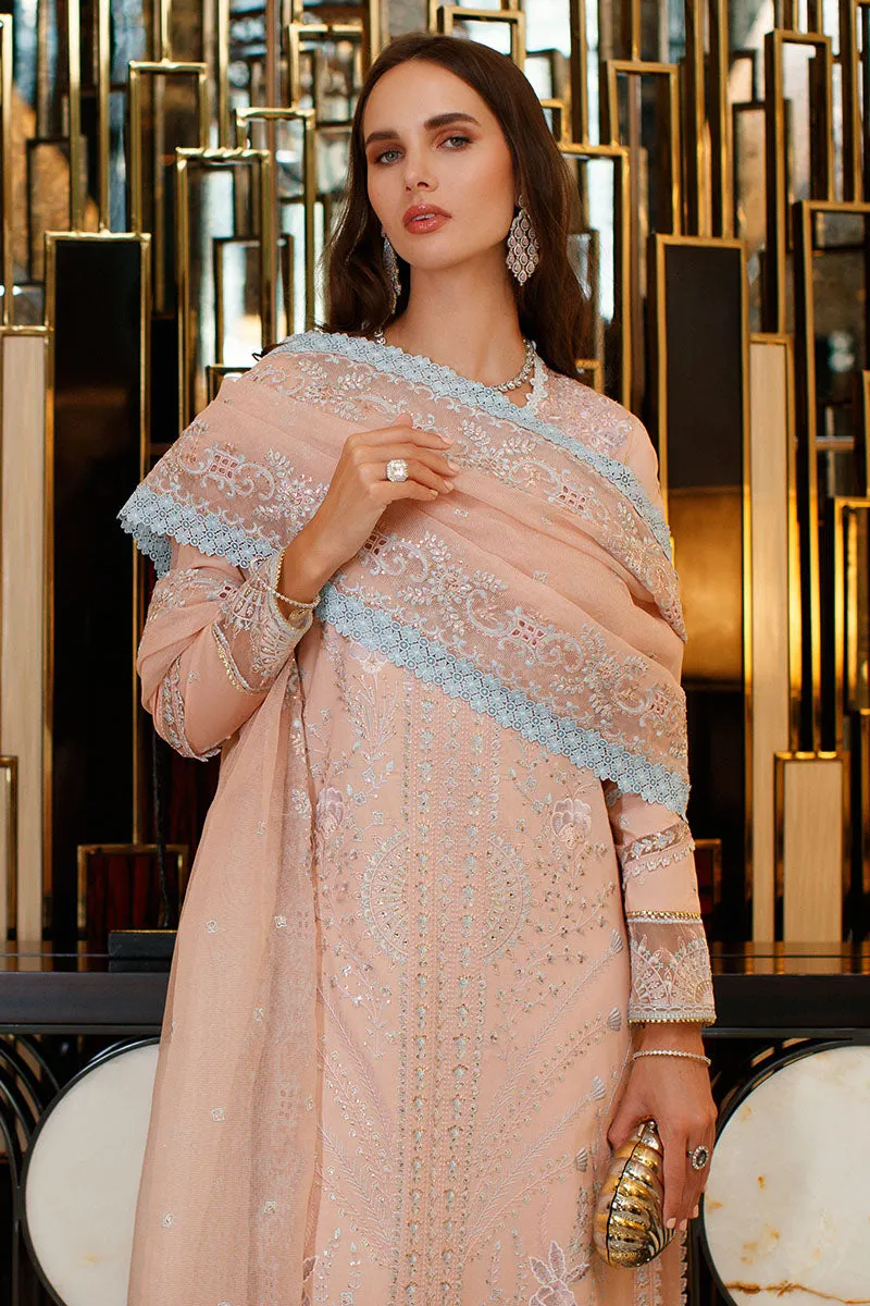 MUSHQ | ASTORIA | FESTIVE LAWN ’23 | Noor