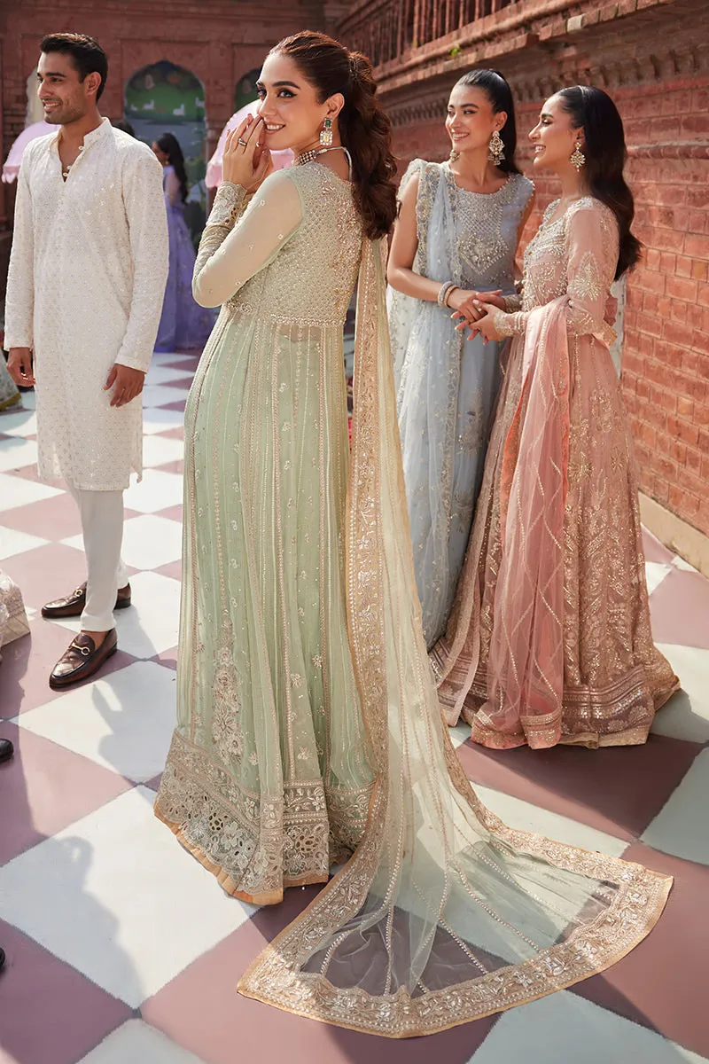 MUSHQ | IZHAR - Luxury Chiffon Collection'23 |  SHAHANA