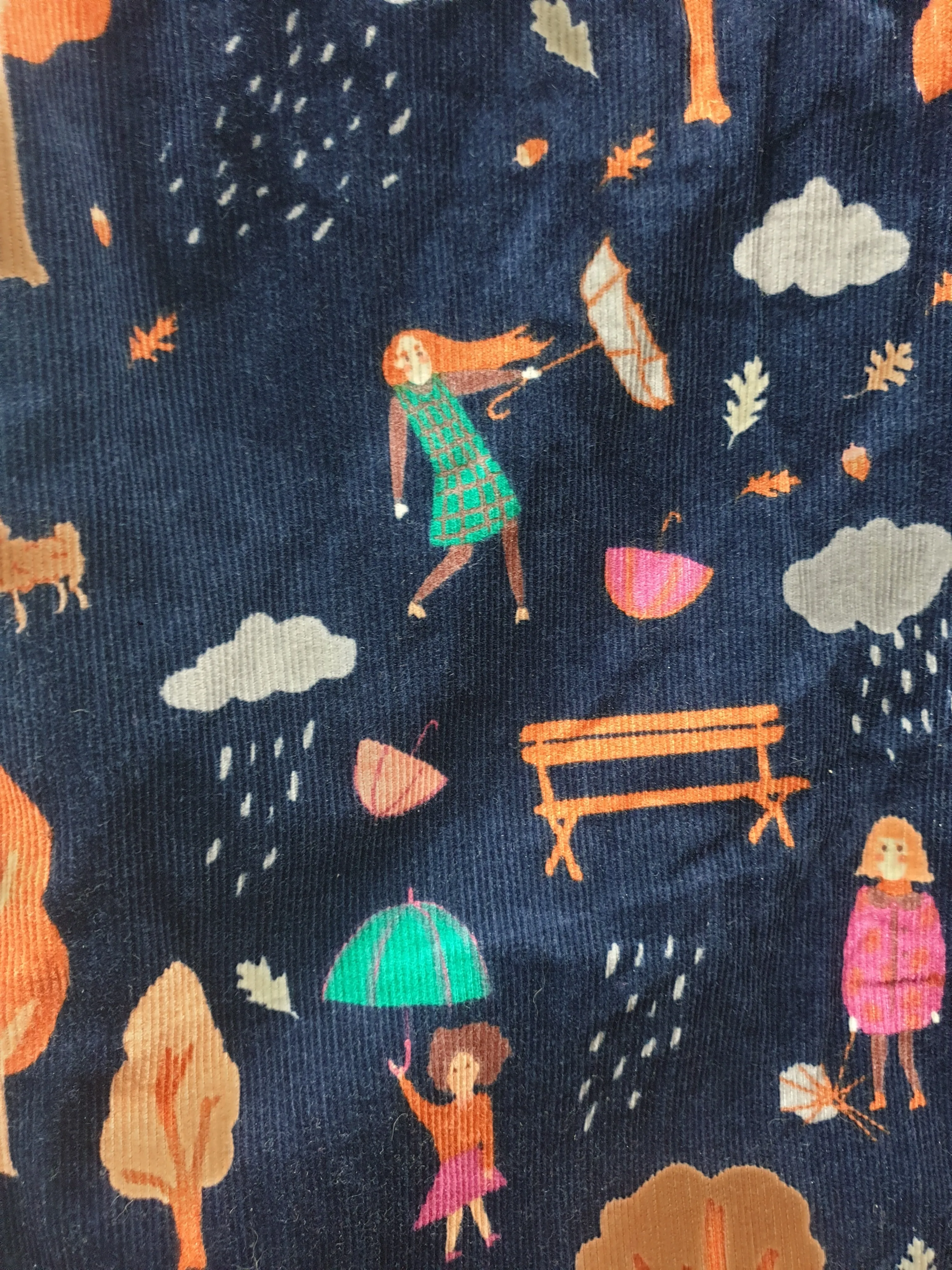 Princess Highway navy straight leg cords with people and weather print size 10