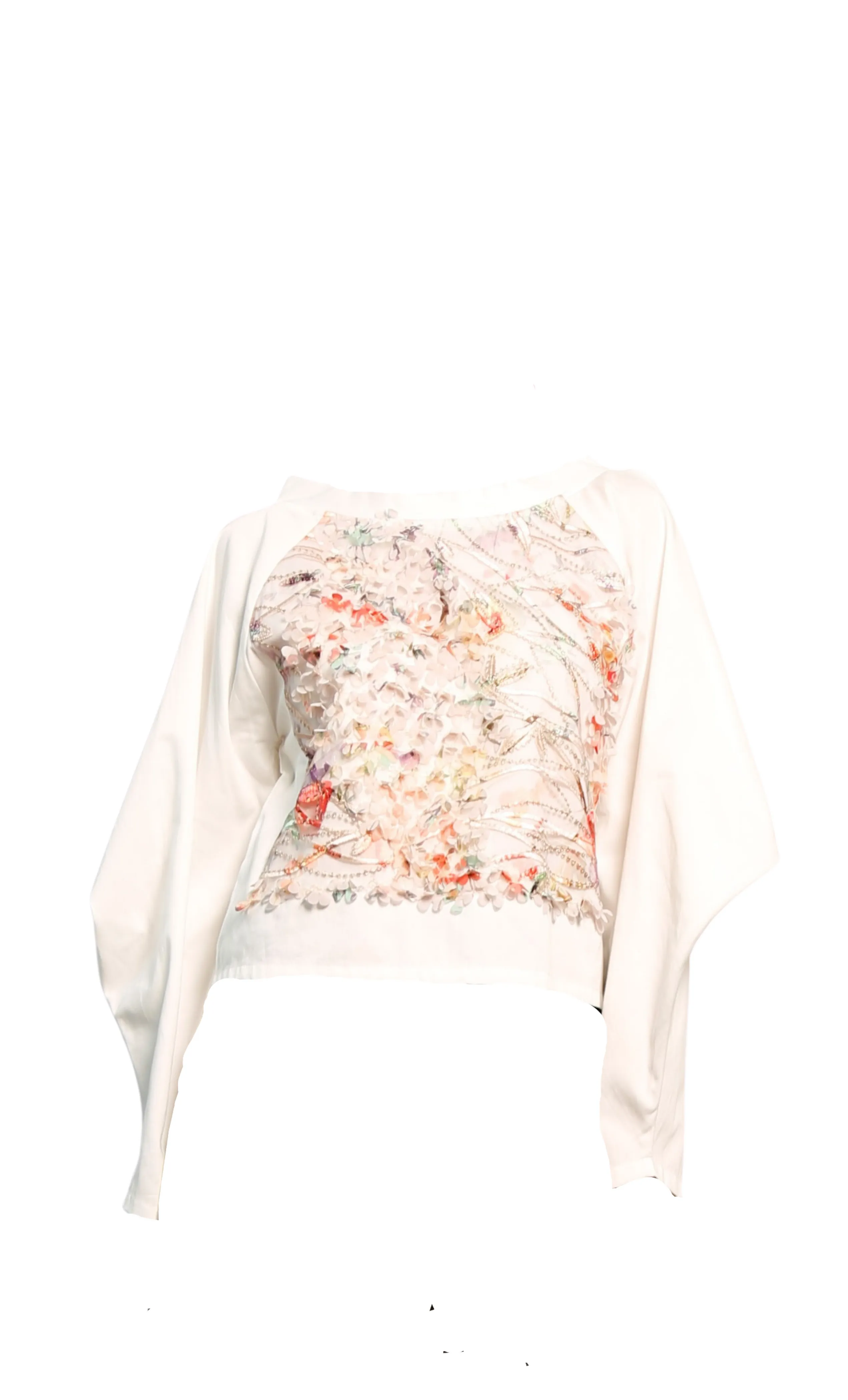 Raglan sleeve top