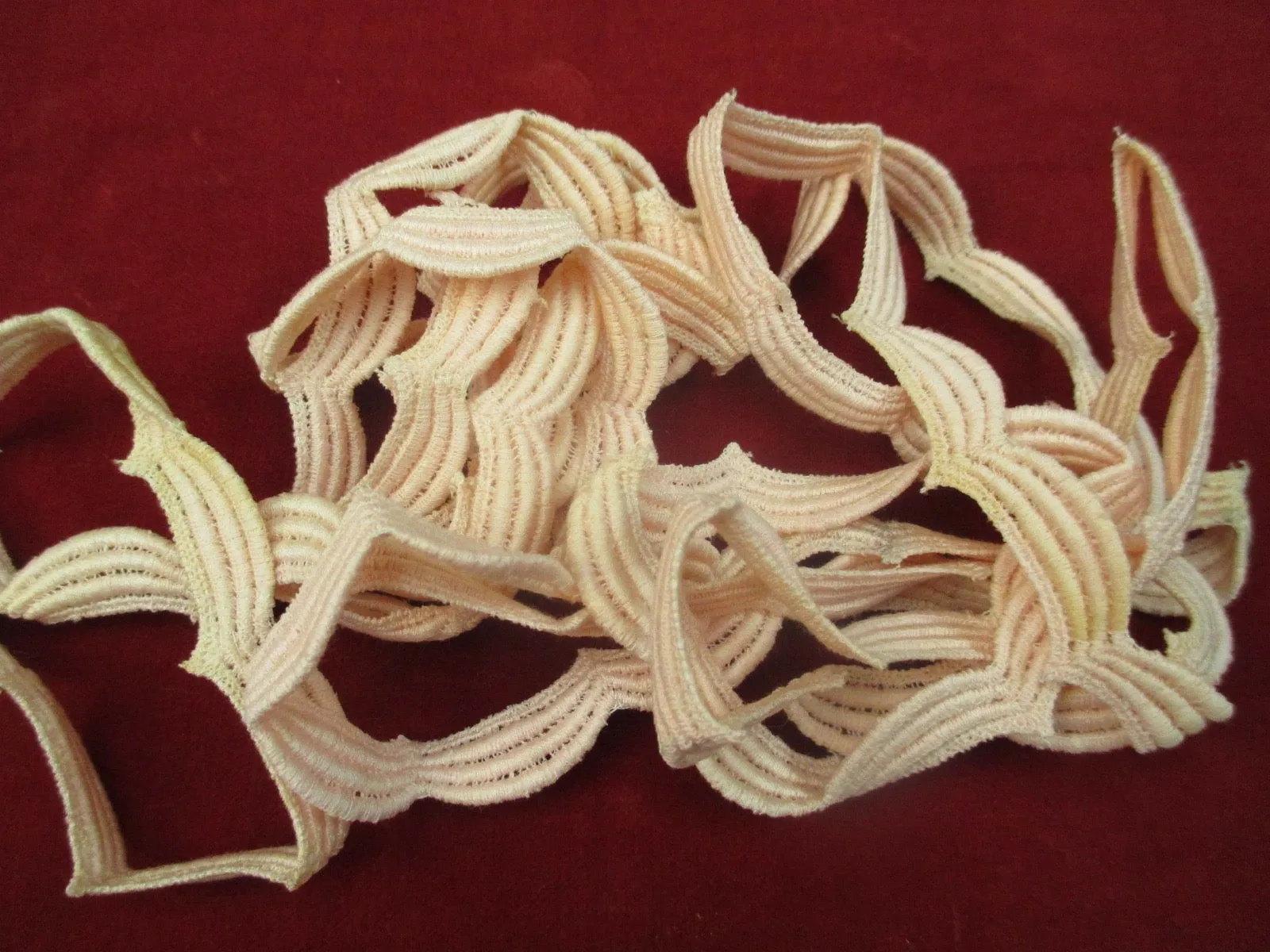 Vintage 1930s Cotton embroidered trim