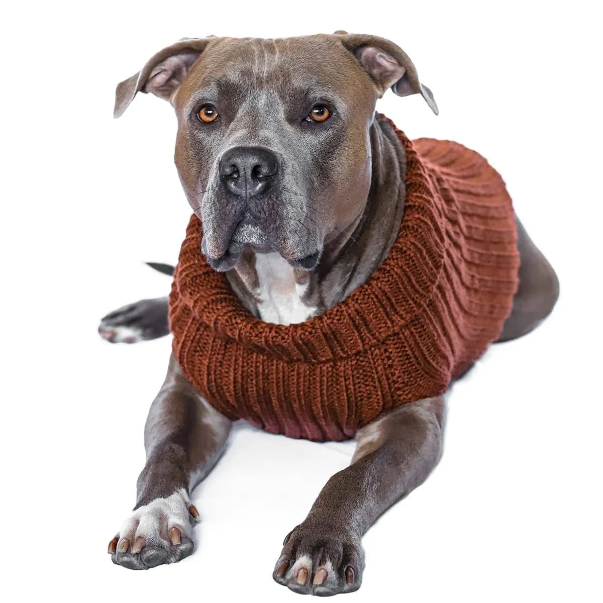 Zoo Snoods - Zoo Sweaters