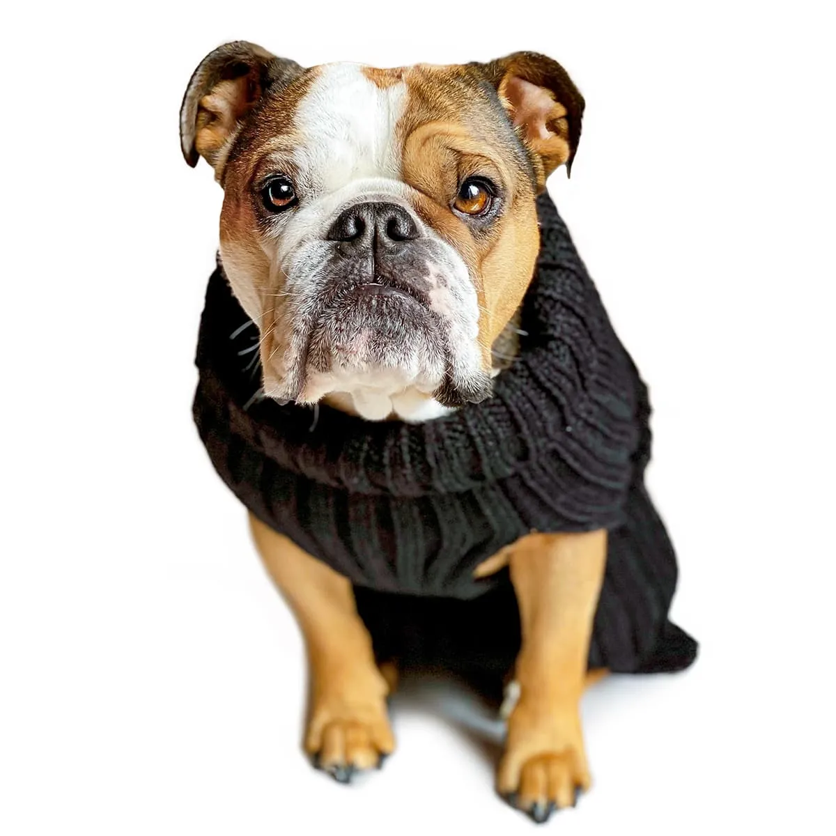Zoo Snoods - Zoo Sweaters